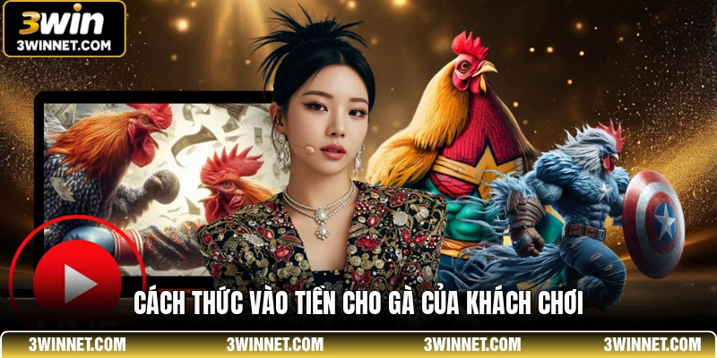 Cách thức vào tiền cho gà của khách chơi