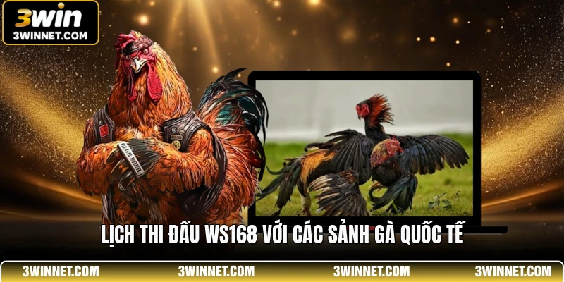 Lịch thi đấu WS168 với các sảnh gà quốc tế
