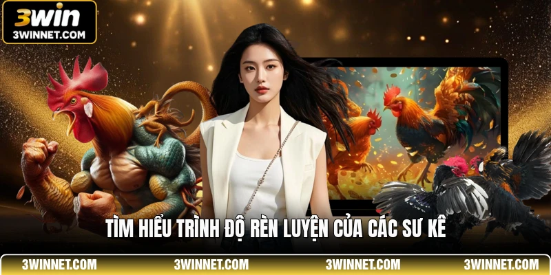 Tìm hiểu trình độ rèn luyện của các sư kê