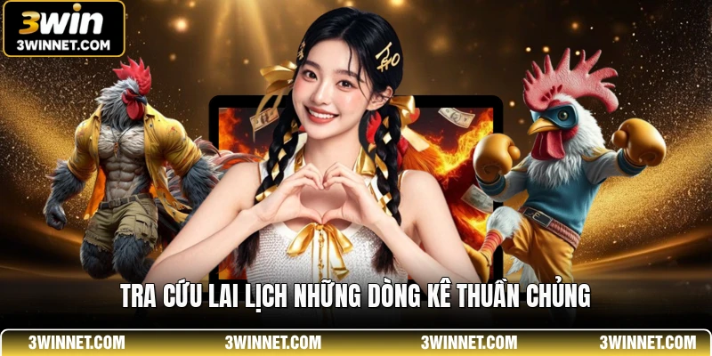 Tra cứu lai lịch những dòng kê thuần chủng